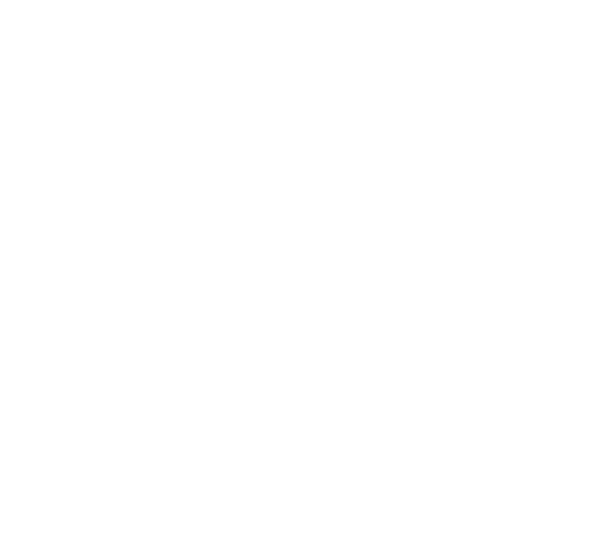 Bling Store